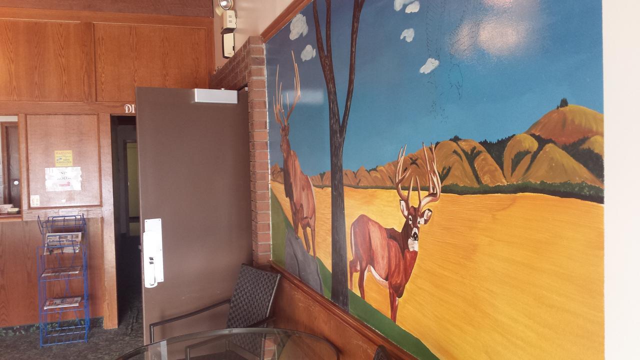 Maple Creek Motor Inn Kültér fotó